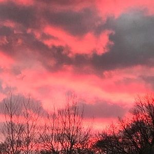 Meet your Posher, Loretta